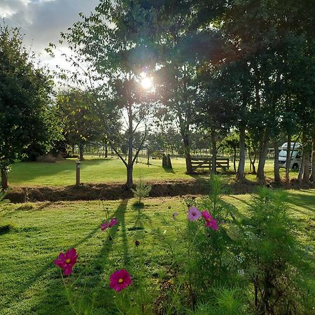 Erfgoed De Boemerang - Chalets Meppen Kültér fotó